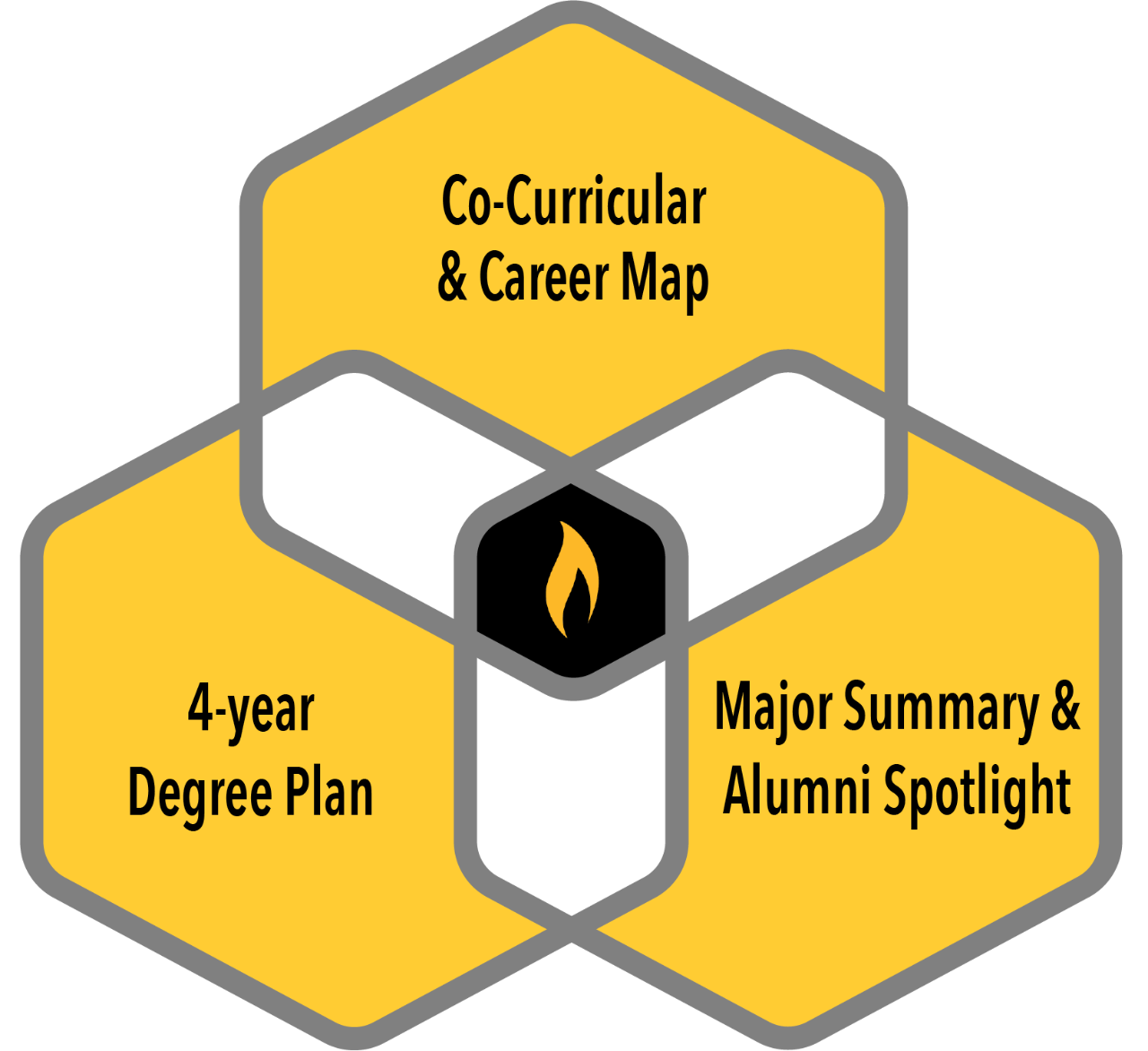 intersection of co-curricular career map, 4-year plan of study and major spotlight