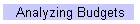 Analyzing Budgets