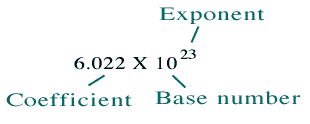 6.022 = exponent, 10 = base, 23 = exponent or power of 10