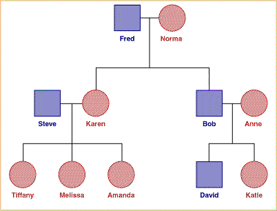 Blackett Pedigree
